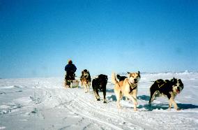 Japanese to complete 22,000-km Arctic trek in 2002